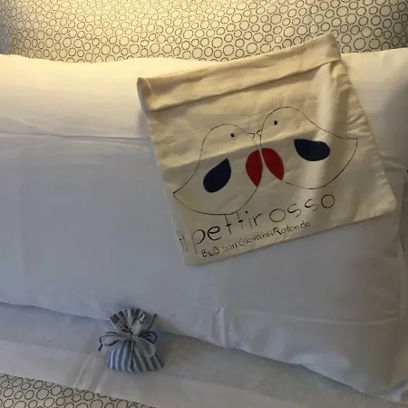 Bed & Breakfast Il Pettirosso *