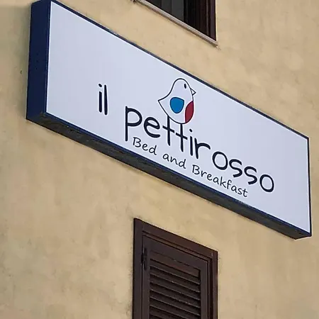 Il Pettirosso